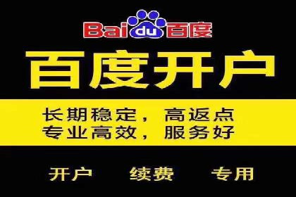 某品牌抖音信息流广告的投放过程与效果评估