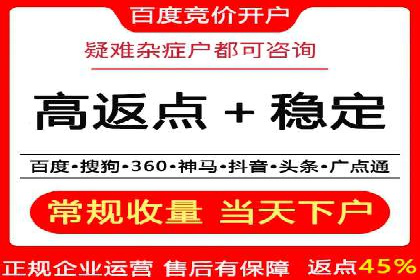 案例分享：专业SEM托管助力品牌崛起